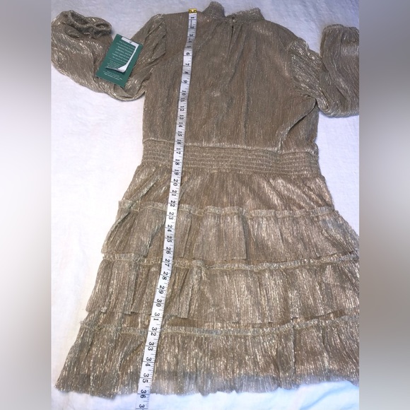 Sam & Jess Semi-Sheer Tiered Ruffle Mock turtleneck Dress Shimmer Gold S… - Picture 8 of 13